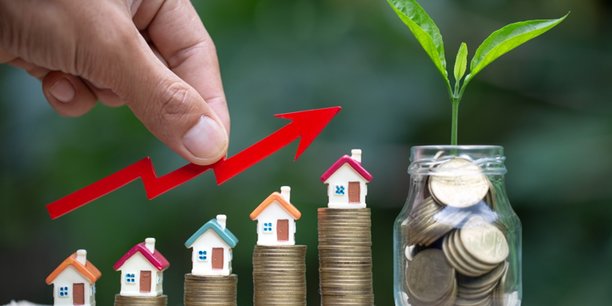 Racine Patrimoine optimiser patrimoine antibes côte d'azur